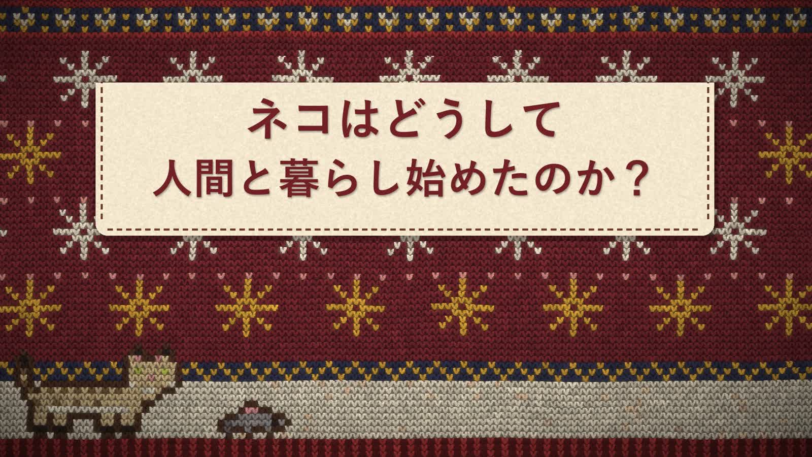 Opus 5.5 Animation PoC: 38: Knit