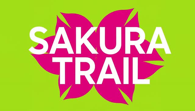 77 SAKURA TRAIL: Ribbon Trail into Cherry Blossoms